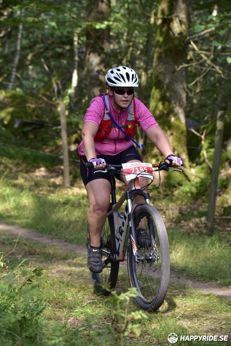 Bild från Bockstensturen 2019